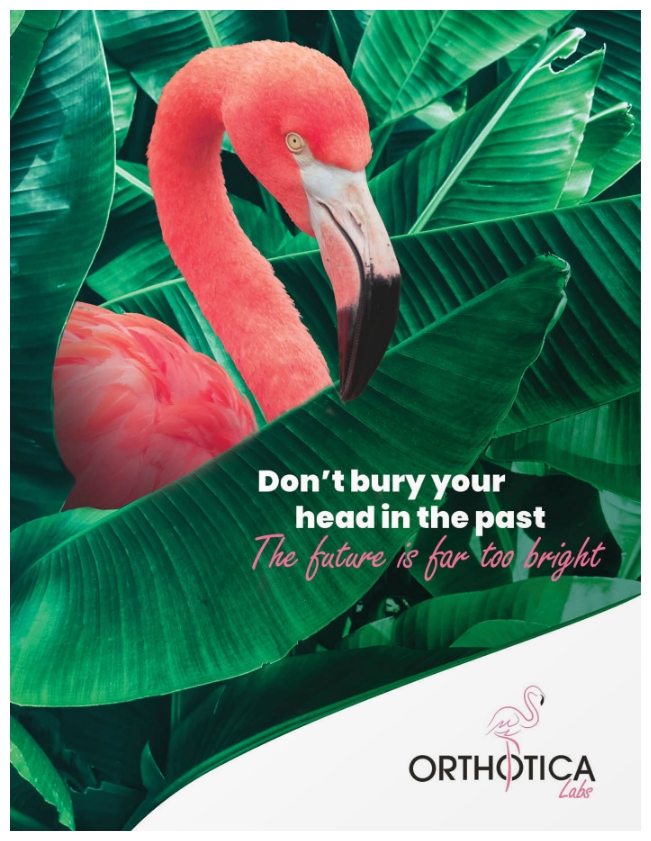 dont bury your